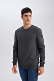 DeFacto 3 İplik Pamuklu Şardonlu İçi Polarlı Regular Fit Bisiklet Yaka Kalın Sweatshirt D7876AXNSAR184