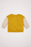Erkek Bebek Bisiklet Yaka İçi Yumuşak Tüylü Baskılı Sweatshirt