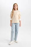 Kız Çocuk Relax Fit Bisiklet Yaka Çizgili Sweatshirt