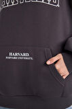 DeFacto Harvard University Oversize Geniş Kalıp Kapüşonlu Cepli Kalın Sweatshirt D7000AX24WNAR191
