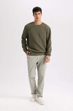 DeFacto Regular Fit Bisiklet Yaka Jakarlı Sweatshirt D5392AX24AUKH261