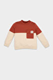 DeFacto Erkek Bebek Bisiklet Yaka Renk Bloklu İçi Yumuşak Tüylü Sweatshirt D6230A5NSOG215