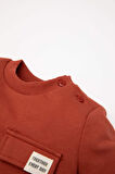 DeFacto Erkek Bebek Bisiklet Yaka Renk Bloklu İçi Yumuşak Tüylü Sweatshirt D6230A5NSOG215