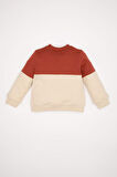 DeFacto Erkek Bebek Bisiklet Yaka Renk Bloklu İçi Yumuşak Tüylü Sweatshirt D6230A5NSOG215