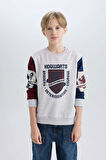 Erkek Çocuk Harry Potter Regular Fit Bisiklet Yaka Sweatshirt