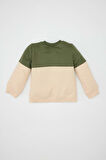 DeFacto Erkek Bebek Bisiklet Yaka Renk Bloklu İçi Yumuşak Tüylü Sweatshirt A9753A524WNKH450