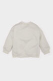 DeFacto Erkek Bebek Bisiklet Yaka Baskılı Sweatshirt E5936A525SPGR107