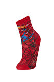 Erkek Çocuk Marvel Spiderman 3'lü Pamuklu Uzun Çorap