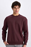 DeFacto Boxy Fit Bisiklet Yaka Baskılı Sweatshirt X8282AZ24AUBR150