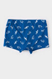 Erkek Çocuk Hayvan Desenli 3'lü Boxer