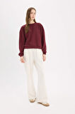 DeFacto Regular Fit Bisiklet Yaka Kalın Basic Düz Sweatshirt D6645AX25SPBR248