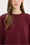 DeFacto Regular Fit Bisiklet Yaka Kalın Basic Düz Sweatshirt D6645AX25SPBR248