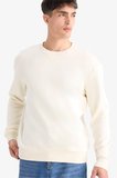 DeFacto Regular Fit Bisiklet Yaka Basic Düz Kalın Sweatshirt T3777AZ25AUER140