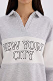 DeFacto Relax Fit Polo Yaka Baskılı Kalın Sweatshirt E3229AX24WNGR93