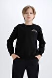DeFacto Erkek Çocuk Avatar the Last Airbender Bisiklet Yaka İçi Yumuşak Tüylü Sweatshirt D6742A824WNBK81