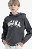 Erkek Çocuk Regular Fit Kapüşonlu İçi Yumuşak Tüylü Kalın Sweatshirt Kumaşı Sweatshirt