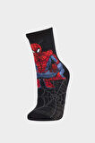 Erkek Çocuk Marvel Spiderman 2'li Pamuklu Uzun Çorap