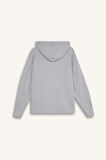 DeFacto Relax Fit Kapüşonlu Basic Düz Sweatshirt E1995AX24WNGR210