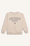 DeFacto Erkek Çocuk Bisiklet Yaka Baskılı Sweatshirt D6210A824CWBG277