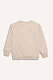 DeFacto Erkek Çocuk Bisiklet Yaka Baskılı Sweatshirt D6210A824CWBG277