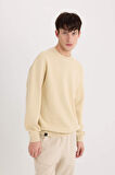 DeFacto Boxy Fit Bisiklet Yaka Pike Sweatshirt E1519AX25SPBG155
