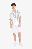 Regular Fit Apaş Yaka Çizgili Kısa Kollu Gömlek