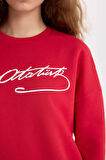 DeFacto Oversize Geniş Kalıp Atatürk İmzalı Bisiklet Yaka Kalın Sweatshirt E5446AX24WNRD286
