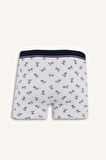 Regular Fit Desenli 3'lü Boxer