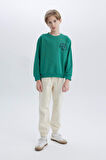 DeFacto Erkek Çocuk Bisiklet Yaka Sırt Baskılı Sweatshirt D7711A825SPGN763