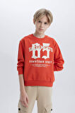 DeFacto Erkek Çocuk Bisiklet Yaka Baskılı Sweatshirt D7712A825SPOG605