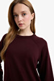 Regular Fit Bisiklet Yaka Basic Düz Uzun Kollu Tunik