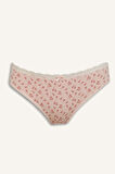 DeFacto Dantel Detaylı 3'lü Brief Külot-Fall in Love E7663AX25SPBR96