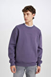 DeFacto Boxy Fit Bisiklet Yaka Baskılı Sweatshirt X8282AZ24AUPR493