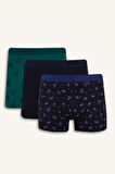 Regular Fit Kaktüs Desenli 3'lü Boxer