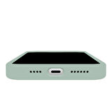 Buff iPhone 15 Pro Rubber Fit Kılıf Succulent