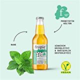 Probiyotik Kombucha Naneli 200 ml