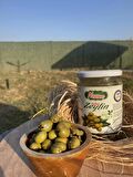 Halhalı Yeşil Zeytin 