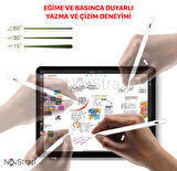NovStrap iPad Air 4/5 Nesil 10.9" ile Uyumlu Dokunmatik Kalem Pencil DZ890 Avuç İçi Reddi 3 Adet Uç