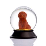 SNOOWG KAR KÜRESİ TOY POODLE (CINNAMON)