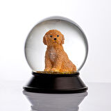 SNOOWG KAR KÜRESİ TOY POODLE (APRICOT)