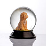 SNOOWG KAR KÜRESİ TOY POODLE (APRICOT)