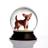 SNOOWG KAR KÜRESİ CHIHUAHUA (BROWN)