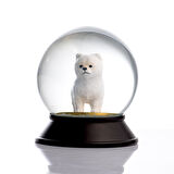 SNOOWG KAR KÜRESİ POMERANIAN-BOO (WHITE)