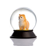 SNOOWG KAR KÜRESİ POMERANIAN-BOO (APRICOT)