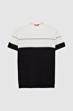 Ds Damat Slim Fit Ekru Rayon Triko T-Shirt