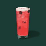 Nish Berry Hibiscus Aromalı Şurup ML