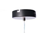 Siyah Dekoratif Avize Beyaz Işık 24 Watt Plafonyer Ledli Modern Tekli Çember Avize AVZ0006