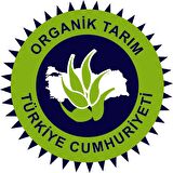 ORGANİK SEBZELİ ERİŞTE''400gr''