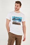 Buratti Erkek T Shirt 541YELKEN24