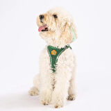 Pawstar Air-Mesh Pine Green Köpek Göğüs Tasması